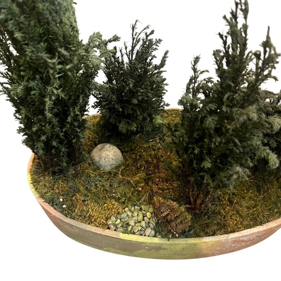 FOREVER GREEN ART Potted Quartet Mini Cypress Tree In‎ Oval Terra Cotta Planter - Picture 6 of 12